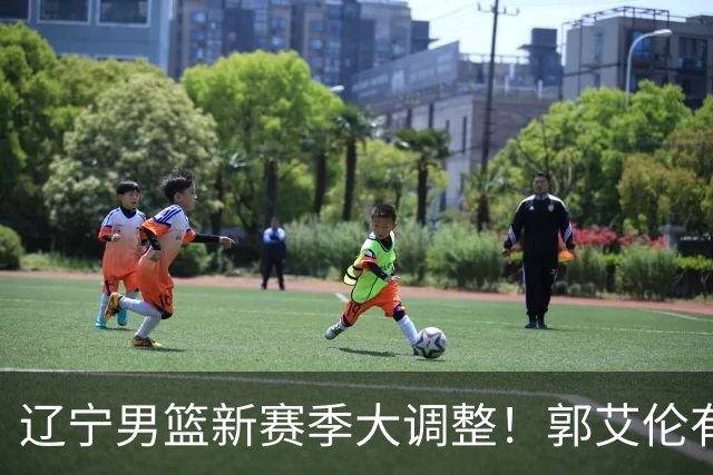辽宁男篮新赛季大调整！郭艾伦有望重返辽篮，杨鸣或将重掌帅印